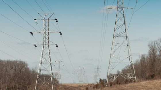 Rows of metal powerlines against a blue sky in a clearing among brown trees.