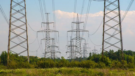 Two rows of large electrical towers crossing a rural property.