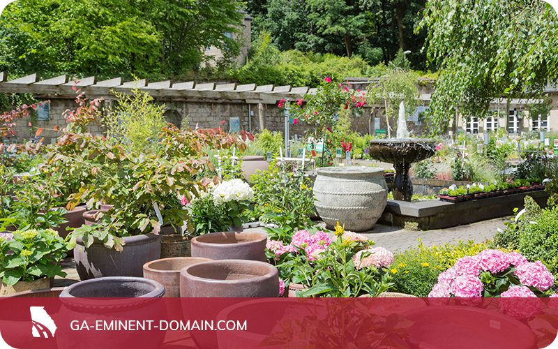 Garden center with concrete pots and several plants and flowers for sale.